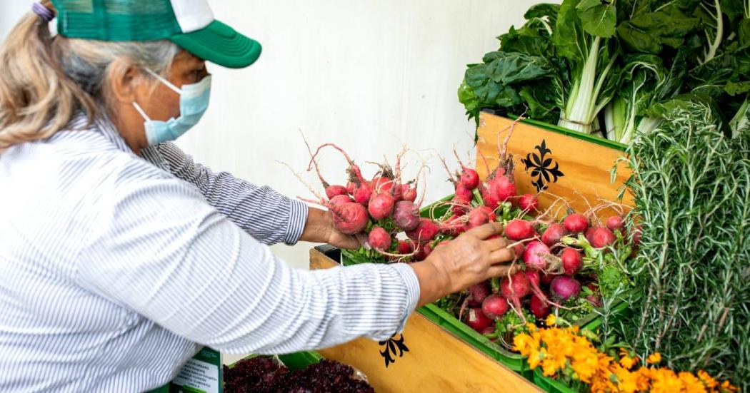 Dónde hay Mercados Campesinos este 27 y 28 de mayo 2023, Bogotá 