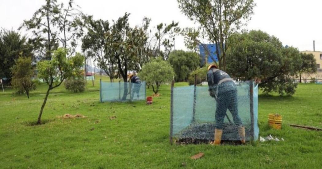 Programa para el manejo de árboles en el trazado de la Línea del Metro