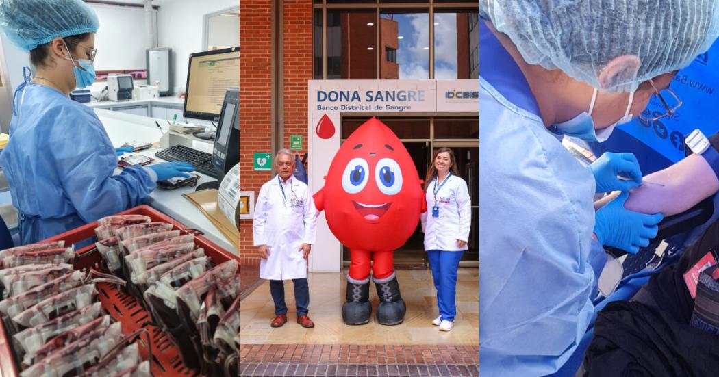 Distrito agradece a los y las donantes de sangre Bogotá 14 junio 2023