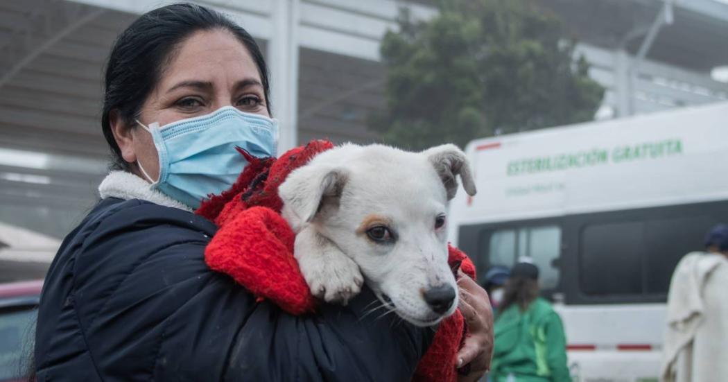 Cómo agendar turnos de esterilización animales en Bogotá junio de 2023