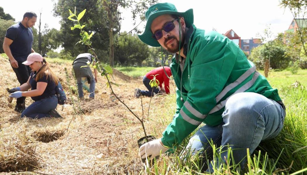 Más de 100 árboles se plantaron en el Humedal de Techo en Kennedy