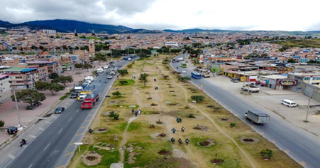 Jardín Botánico y árboles en Usme