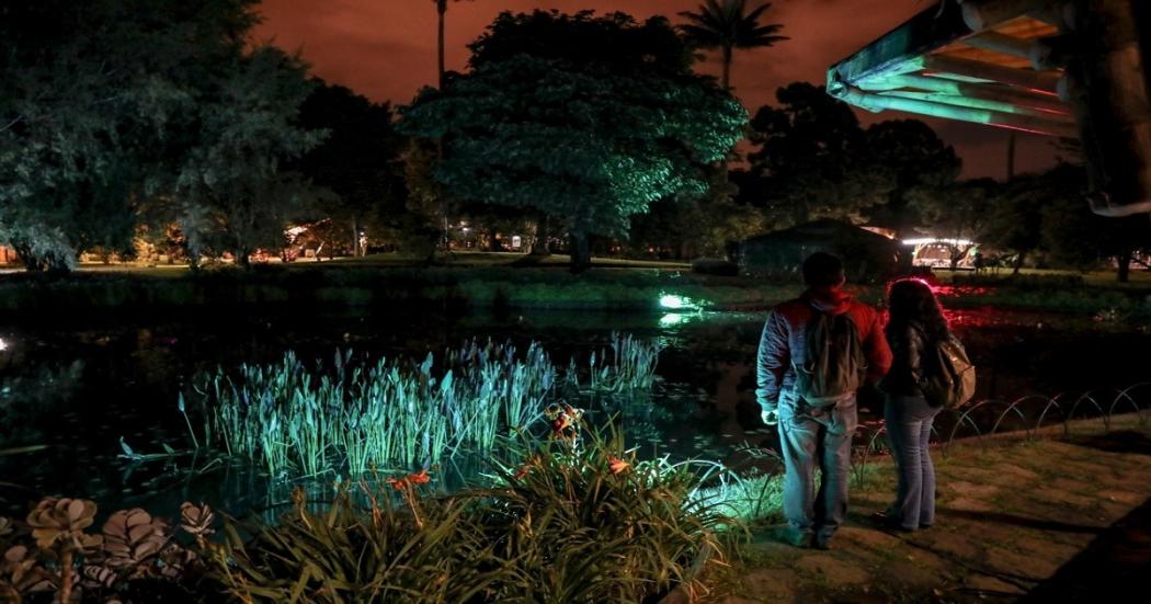 De noche el jardin botanico