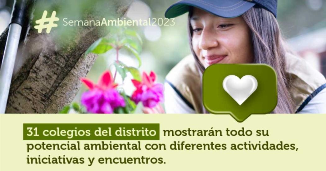 Alumnos del Distrito serán protagonistas de Semana Distrital Ambiental