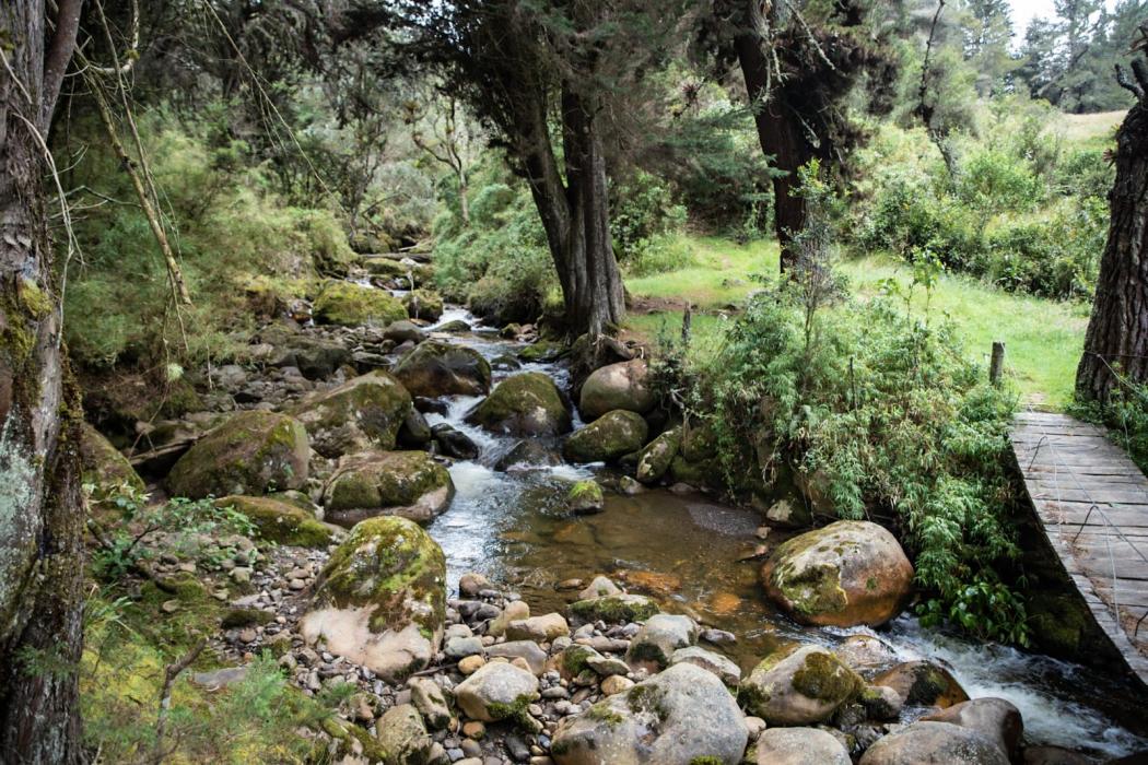 Bogotá: Sendero El Delirio en San Cristóbal permanece cerrado 