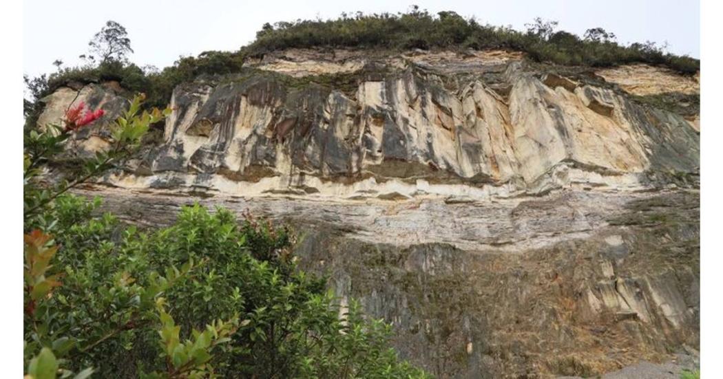 Distrito avanza en la restauración ecológica de la Serranía el Zuque 