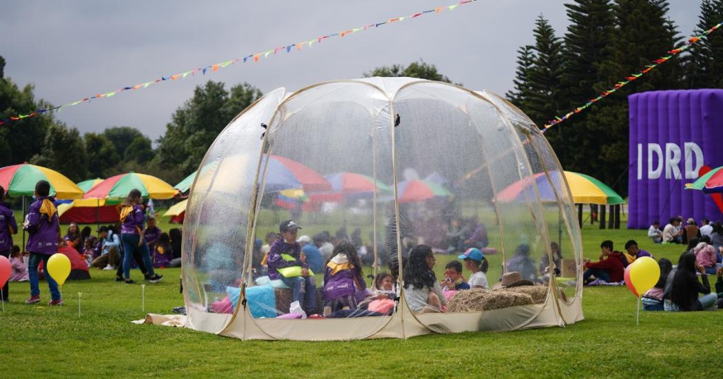 ¿Sabías que Bogotá tiene campamentos juveniles? Inscríbete gratis y participa