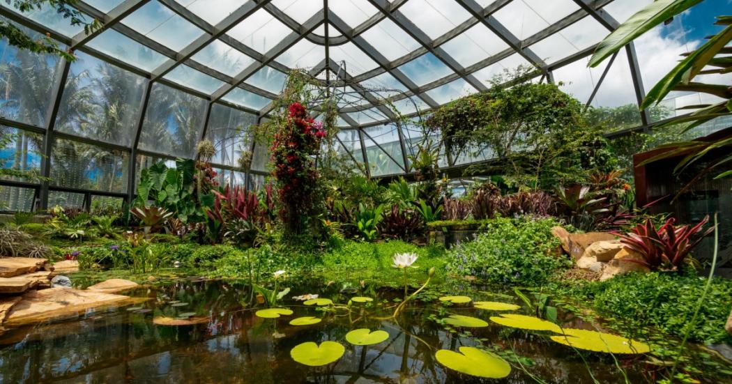 Tropicario del Jardín Botánico