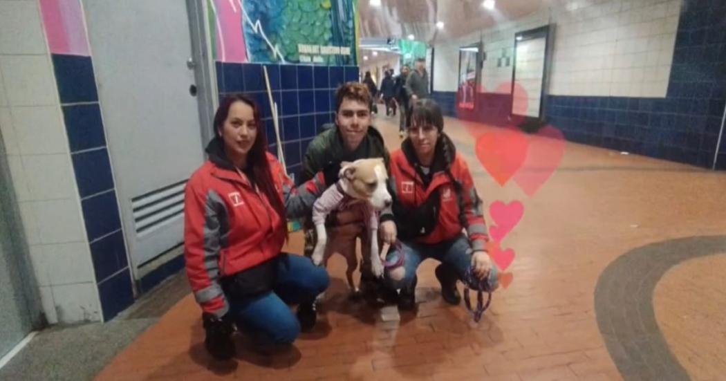 Lali perrita que se había perdido en TM se reencontró con su dueño