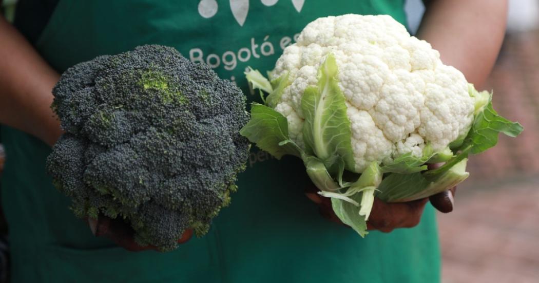 brocoli y coliflor sostenidas por unas manos