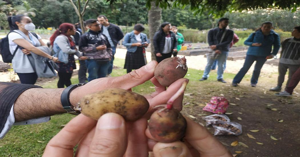 Jardín Botánico