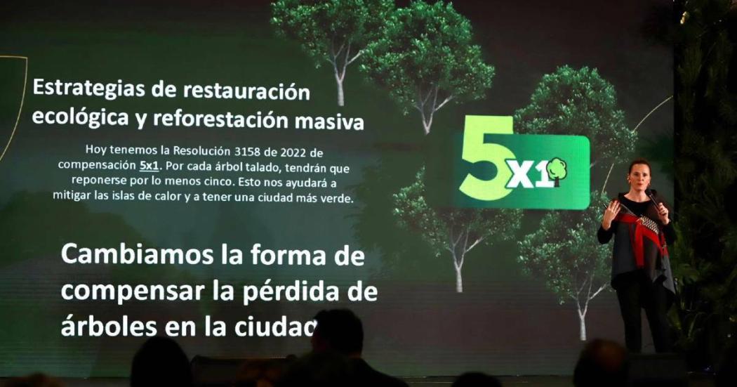 Estrategias de Distrito para preparar Bogotá frente a crisis climática