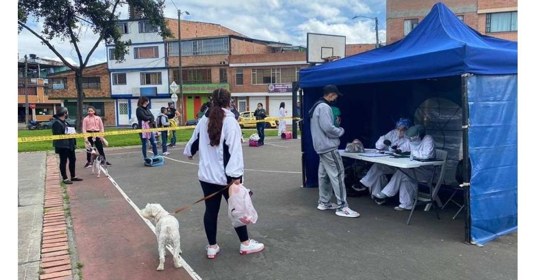 Se habilitan turnos para esterilizar gratis a animales en octubre