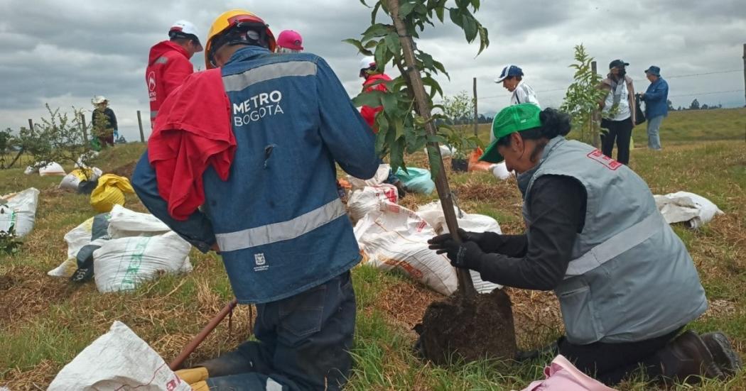 Bogotá Reverdece de la mano de la Primera Línea del Metro de Bogotá