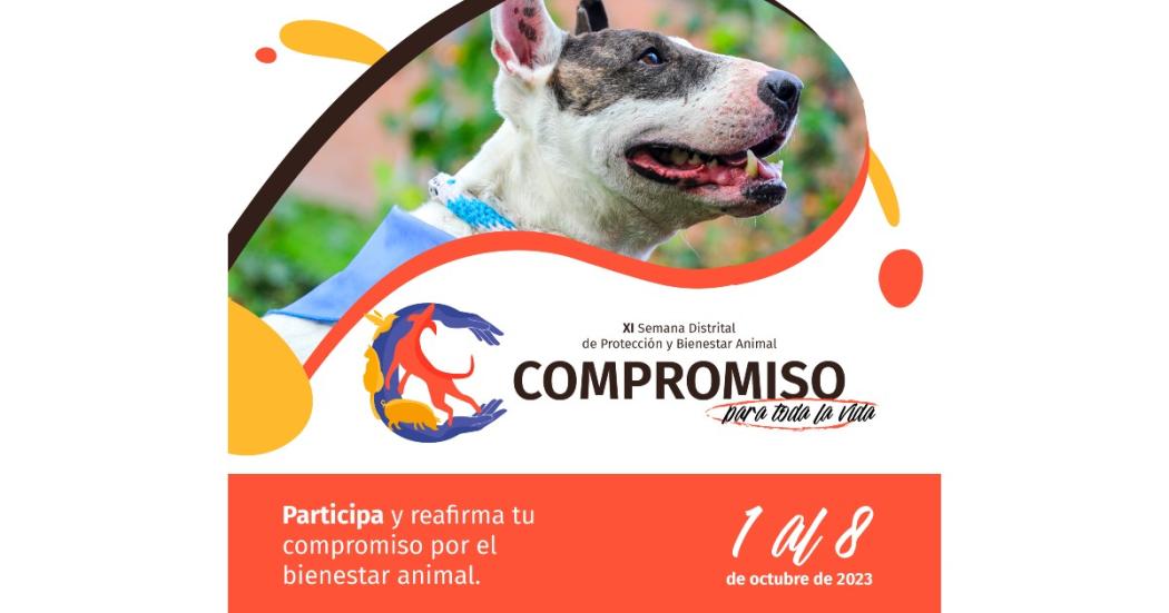 XI Semana de Protección y Bienestar Animal 2023 ¡De septiembre 30 a octubre 8!