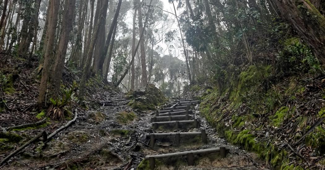 Recorre senderos de Bogotá este 23 y 24 de septiembre: reserva y más 