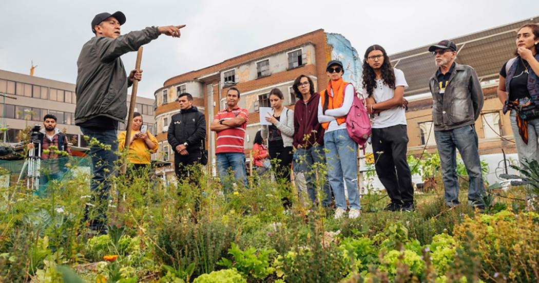 Huerta del Bronx