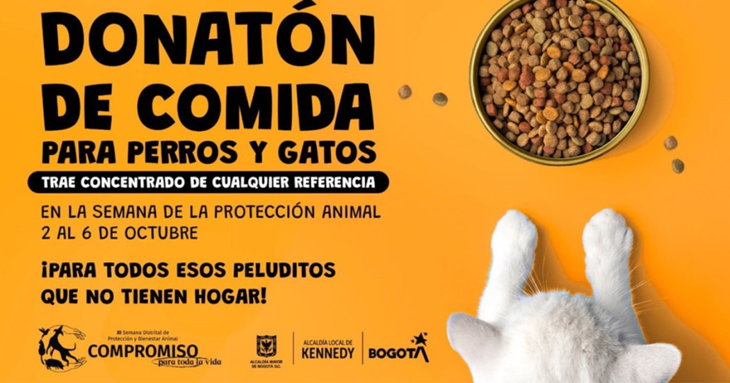 Aquí te contamos cómo donar concentrado a esos peluditos que no tienen un hogar