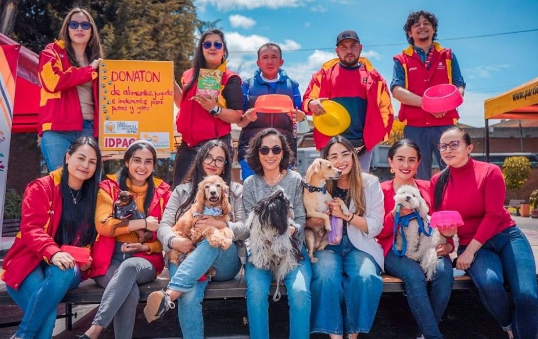 Únete a Donatón para animales de compañía sin hogar hasta noviembre 16