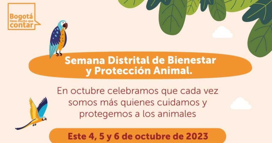 Sec. de Educación celebra la Semana Distrital de Bienestar y Protección Animal🐾