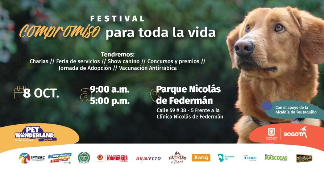 Semana de Protección y Bienestar Animal cierra con esta programación imperdible