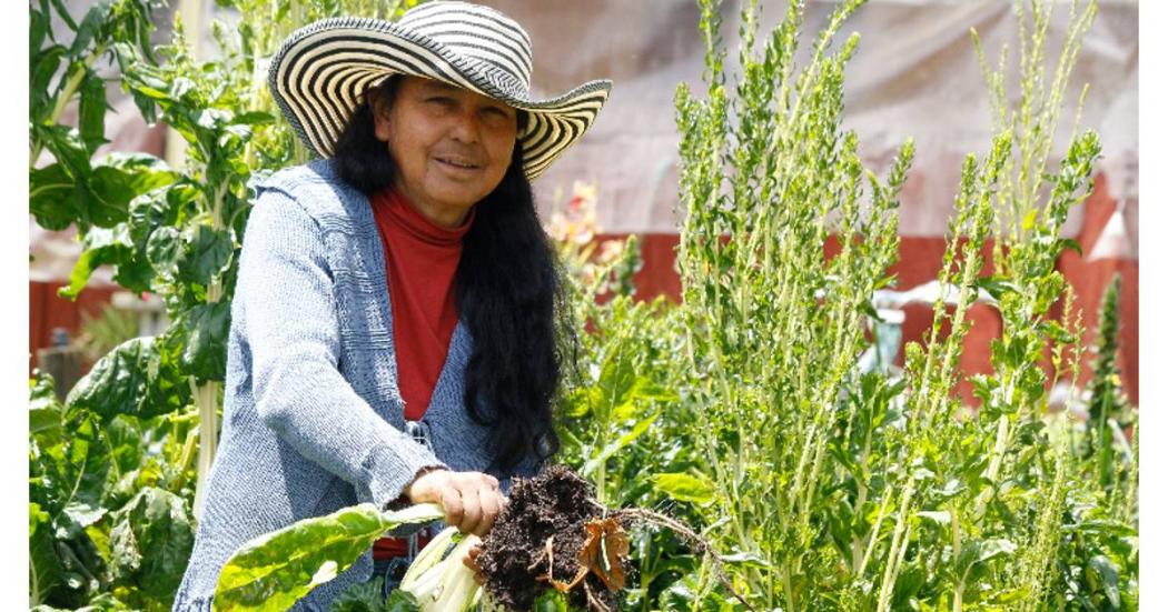 Por qué se conmemora el Día Internacional de la Mujer Rural 15 octubre