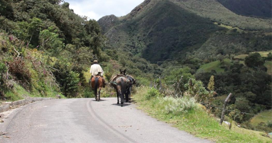 Se entregarán más de $386 millones para la cultura en Sumapaz 2023