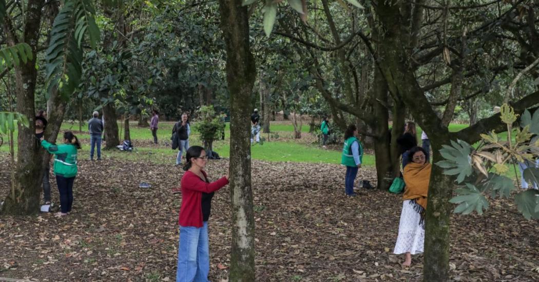  Bogotá, lista para ofrecer “Baños de Bosque” como opción terapéutica