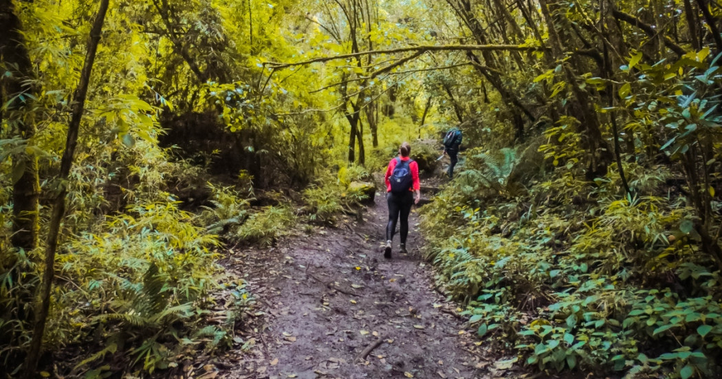 Camino Santa Ana – La Aguadora