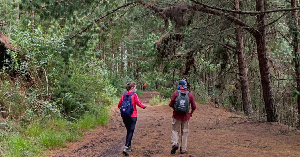 Visita los senderos de Bogotá este 18 y 19 de noviembre: reserva y más