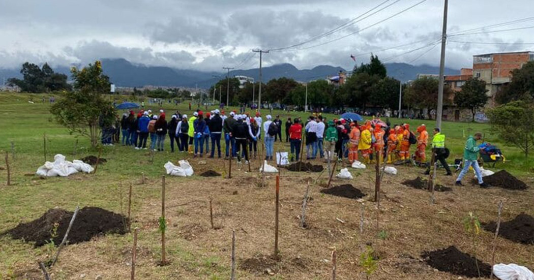 Secretaría de Ambiente plantó 207 nuevos árboles en el sur de la ciudad