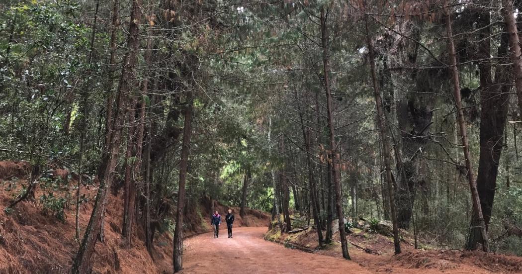 Horarios de los senderos de Bogotá para Navidad y Año Nuevo 