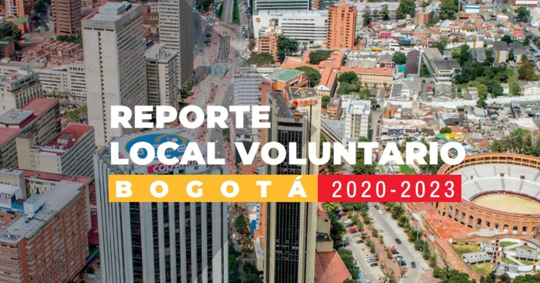 Reporte Local Voluntario