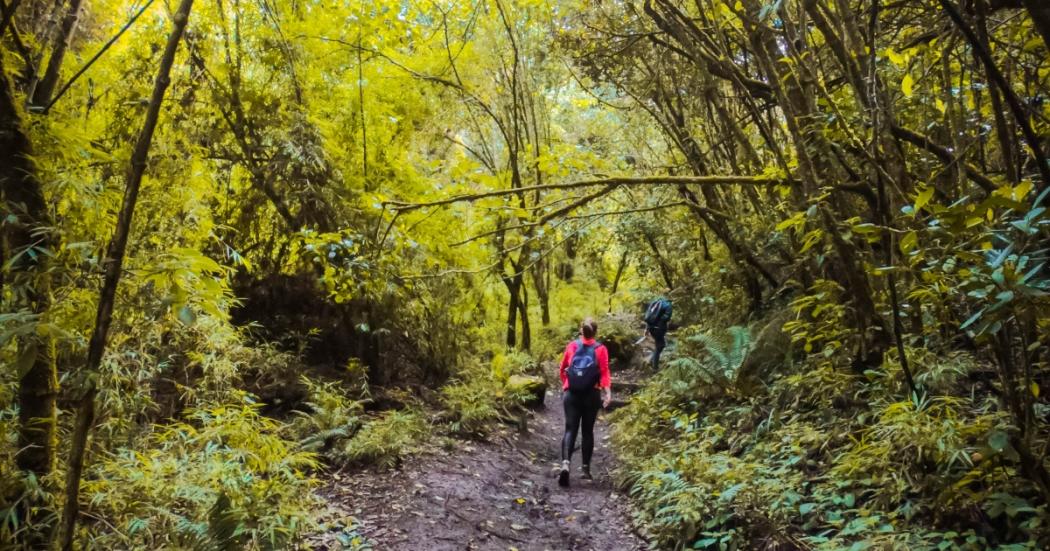 Recorrido por los senderos orientales en Bogotá 2 y 3 de diciembre 