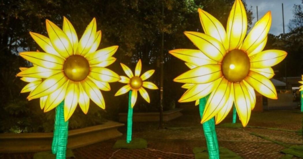 Con gran éxito culminó el festival MajestuOsos del Jardín Botánico