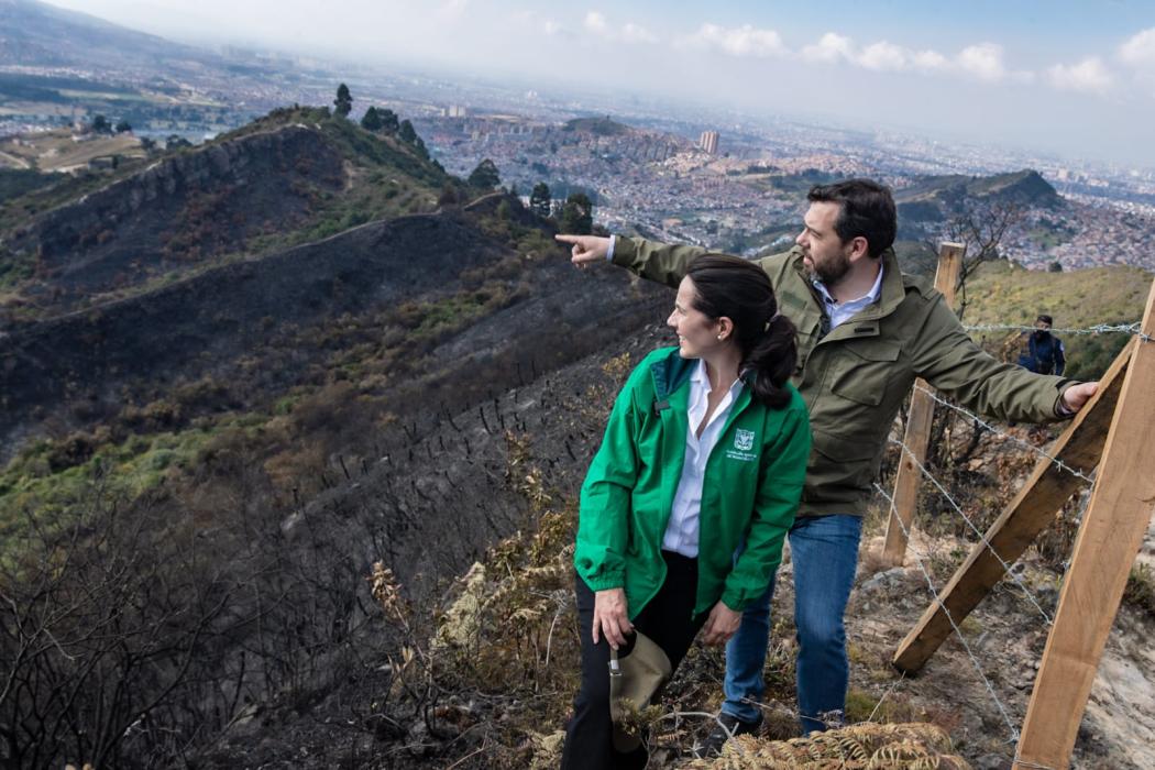 Alcalde Mayor recorrió zona del parque Entrenubes afectada por incendio forestal