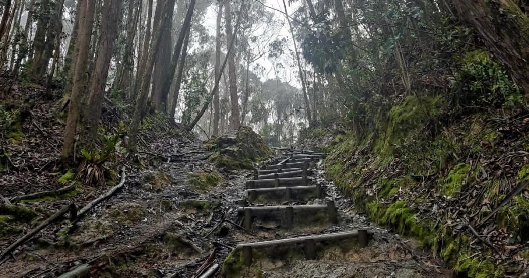 sendero Quebrada La Vieja 