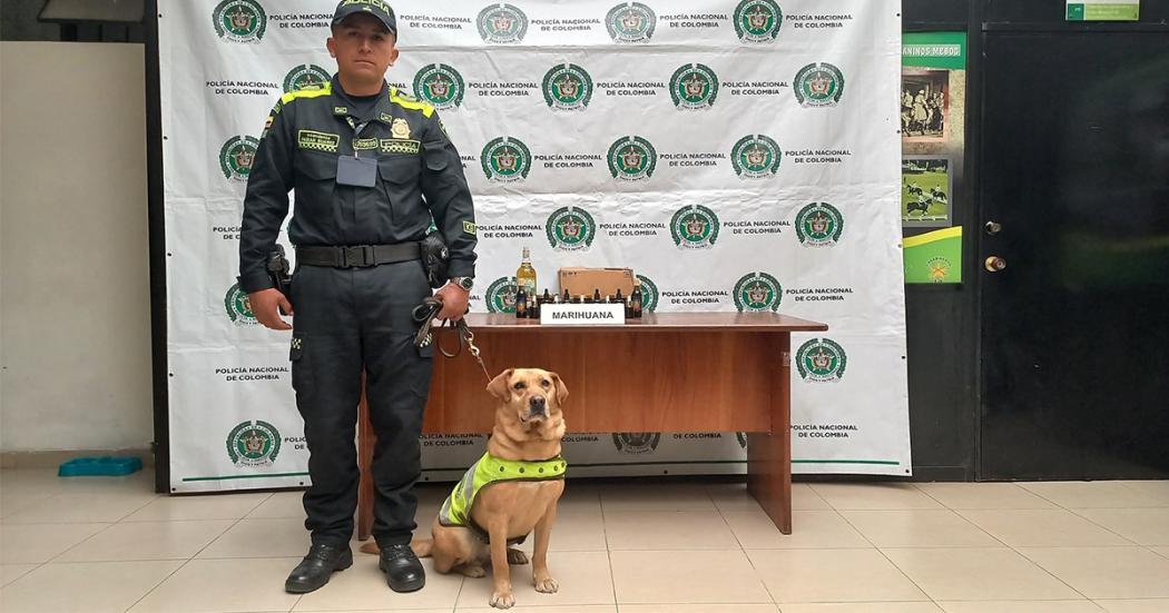  Policía incautó frascos con estupefacientes en empresa de mensajería terrestre 