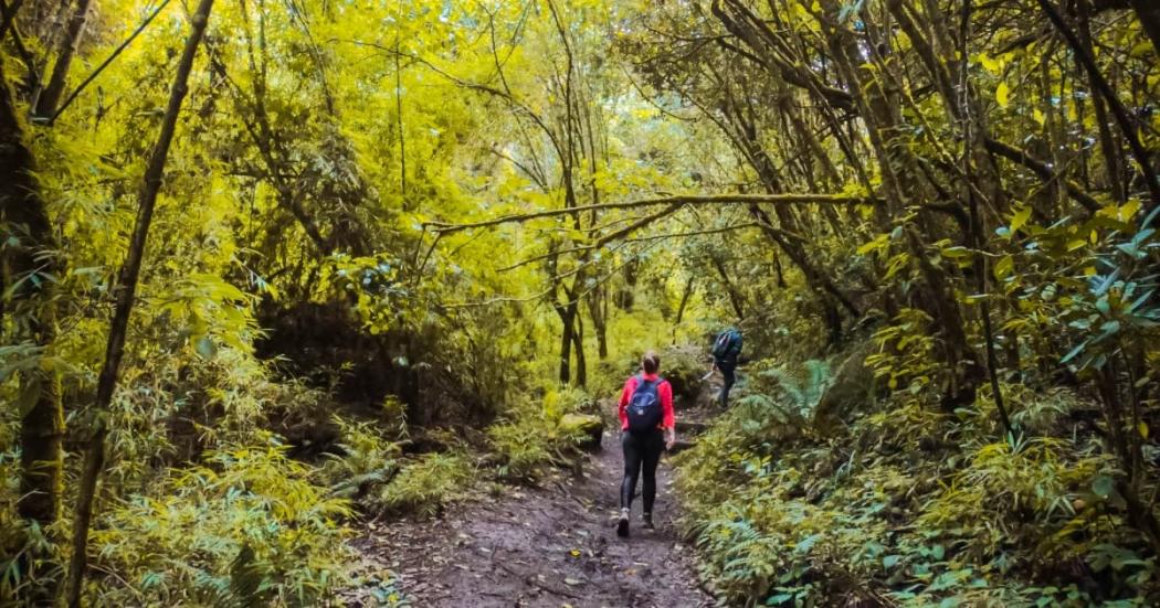 Se cierran preventivamente las visitas a senderos de Cerros Orientales