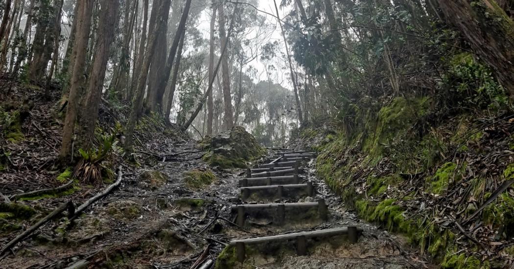 Están abiertos los senderos de Bogotá este 6, 7 y 8 de enero 