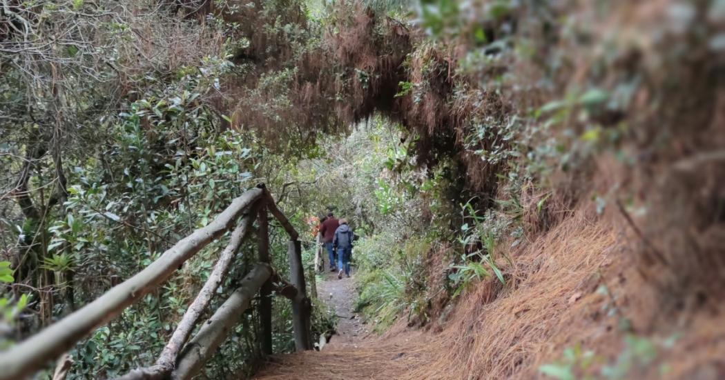 Visita los senderos de Bogotá este 20 y 21 de enero: agenda cita 