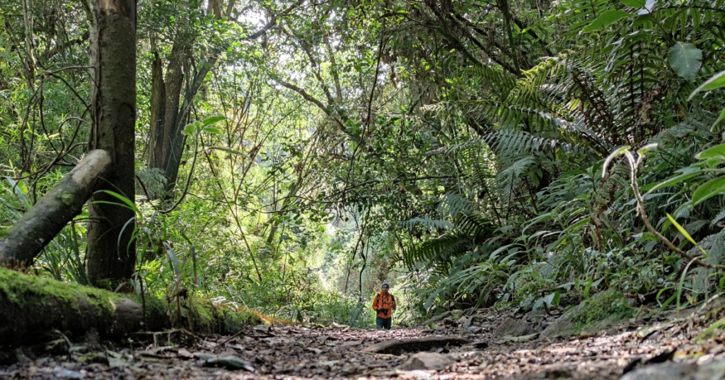 Acueducto abre nuevamente el camino Santa Ana – La Aguadora 