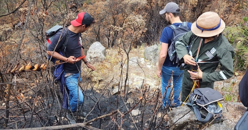 Avanza planificación para restaurar los Cerros Orientales y Entrenubes