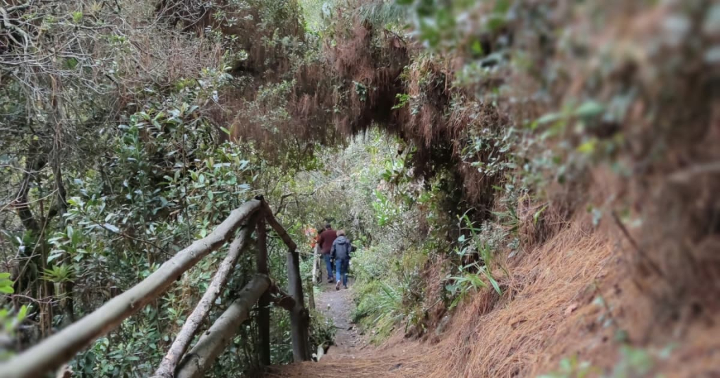 Recomendaciones para visitar los senderos de Bogotá 2024 