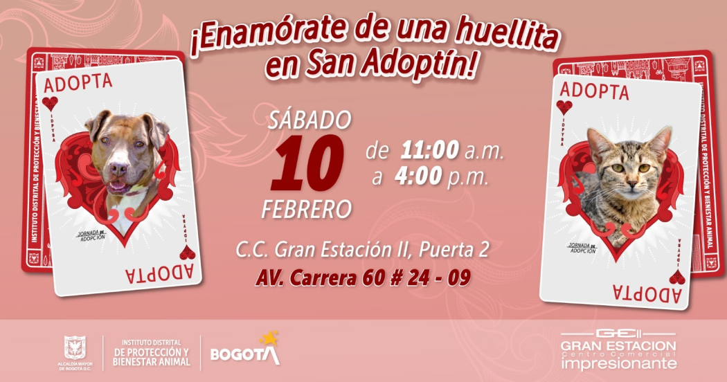 ¿Le das una segunda oportunidad a un perro o gato? Gran jornada de adopción 