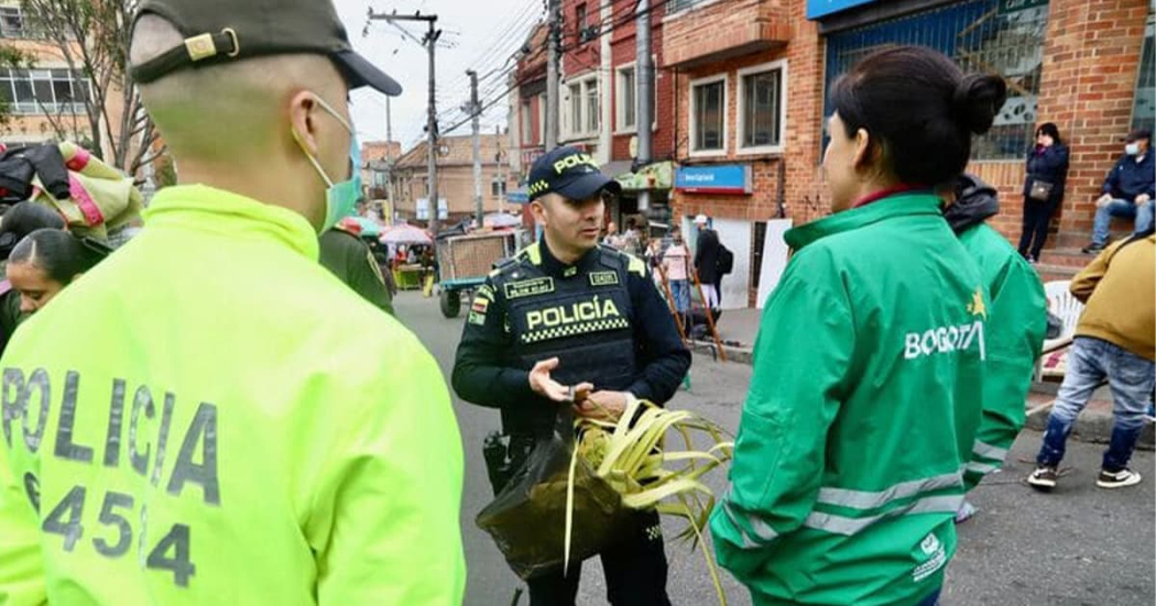 Recomendaciones ambientales para el Domingo de Ramos