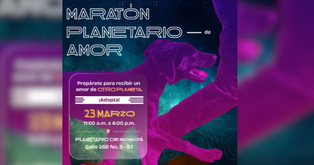 Este 23 de marzo nueva jornada de adopción en el Planetario de Bogotá