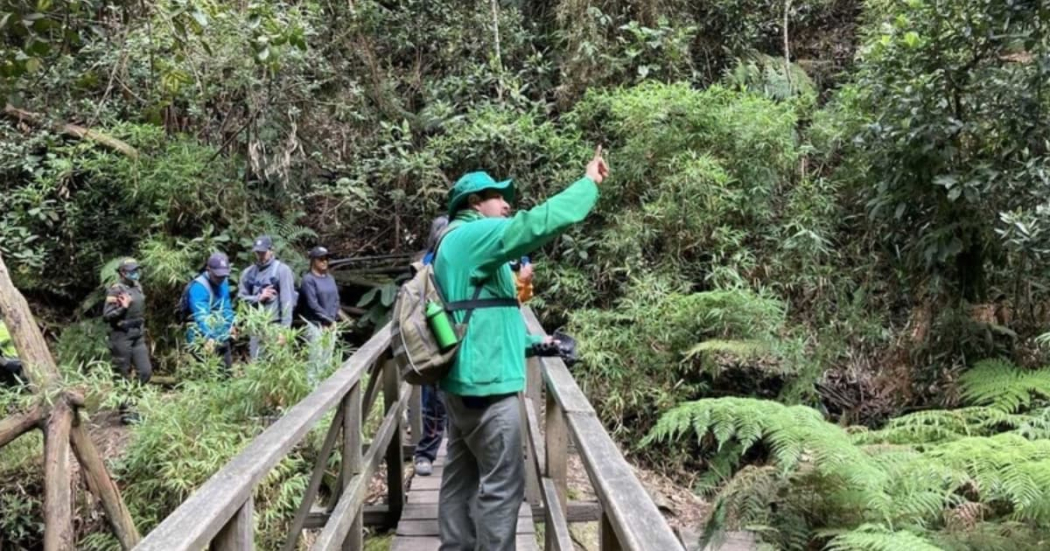 Participa en las caminatas ecológicas de Bogotá en abril de 2024 