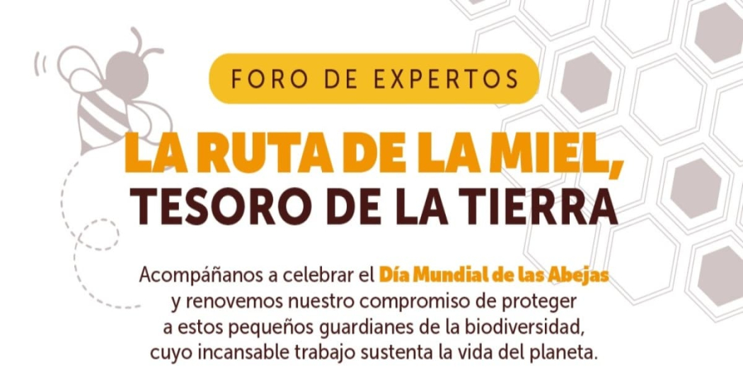 20 de mayo de 2024 Celebración del Día Mundial de las Abejas en Bogotá