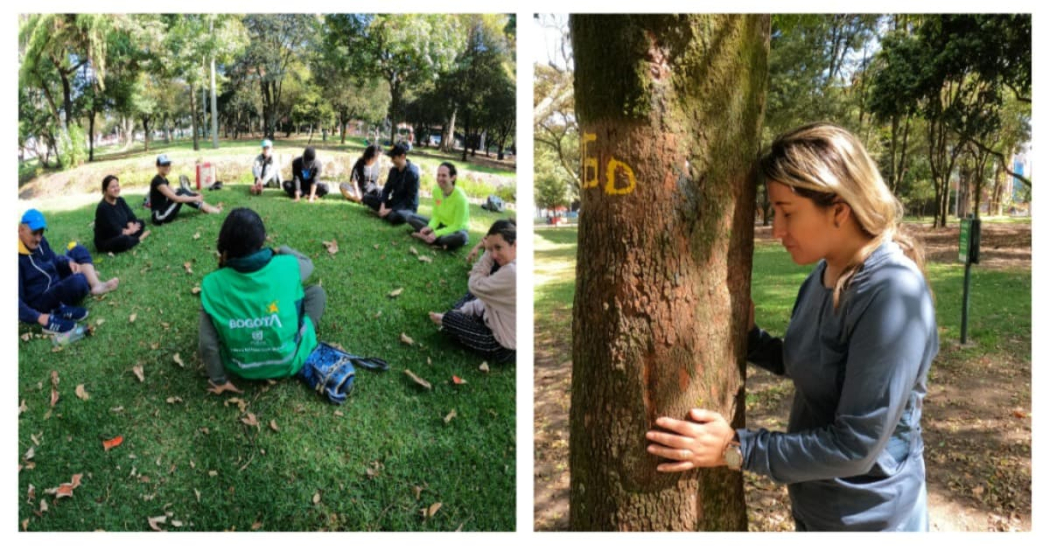 Actividades del Jardín Botánico de Bogotá por Semana Ambiental 2024